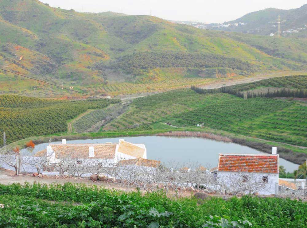 casas-rurales-sierra-malaga-DSC_8384