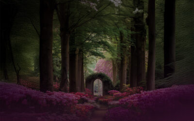 Gardens for the Righteous